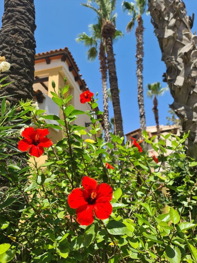 Apartament La Dama Torrevieja Zewnętrze zdjęcie